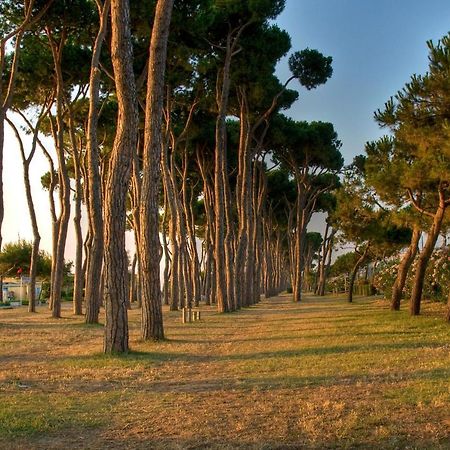 Green Bay Village Pineto Exterior foto